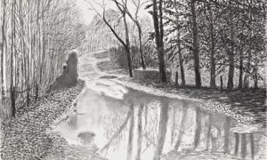 Hockney spring drawing