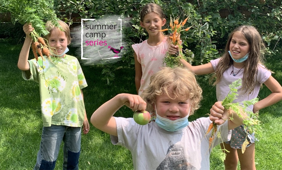 summer camp series